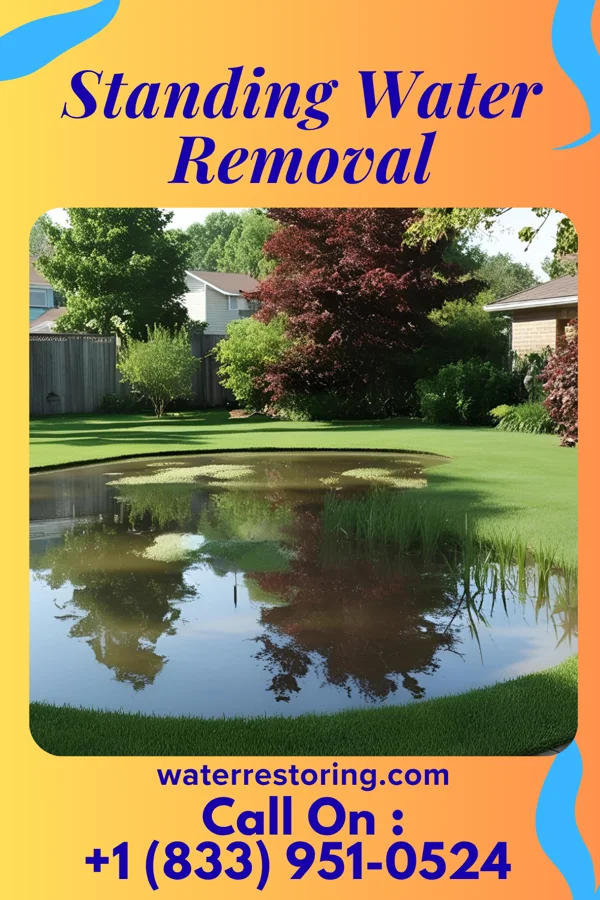 Standing Water Removal in Big Spring, MO